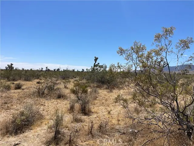 0 213th, Llano, CA 93544 - #1