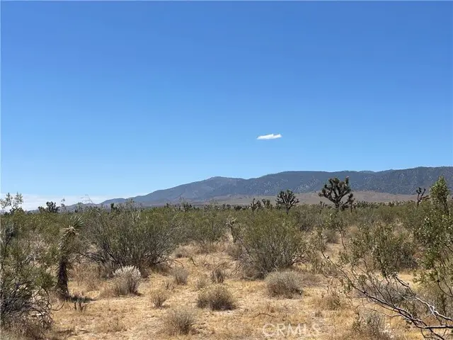 0 213th, Llano, CA 93544 - #2