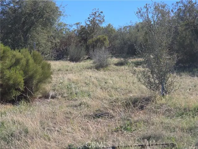 0 Taron Trail, Anza, CA 92539 - #2