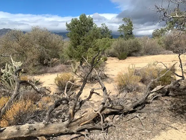368 Palm Canyon Drive, Mountain Center, CA 92561 - #2