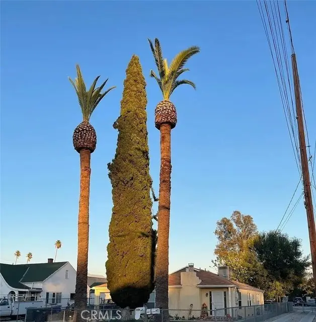 10567 Ohio, Loma Linda, CA 92354 - #3