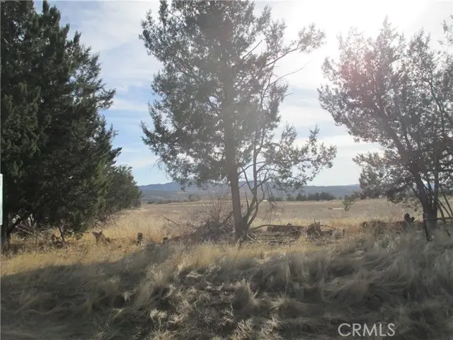 0 Highway 371, Anza, CA 92539 - #2