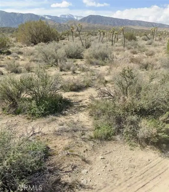 0 Avenue Z, Llano, CA 93544 - #1