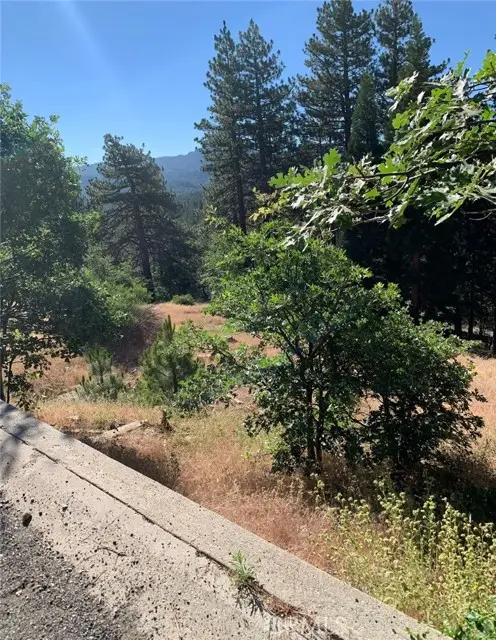 31533 Circle View Drive, Running Springs, CA 92382 - #1
