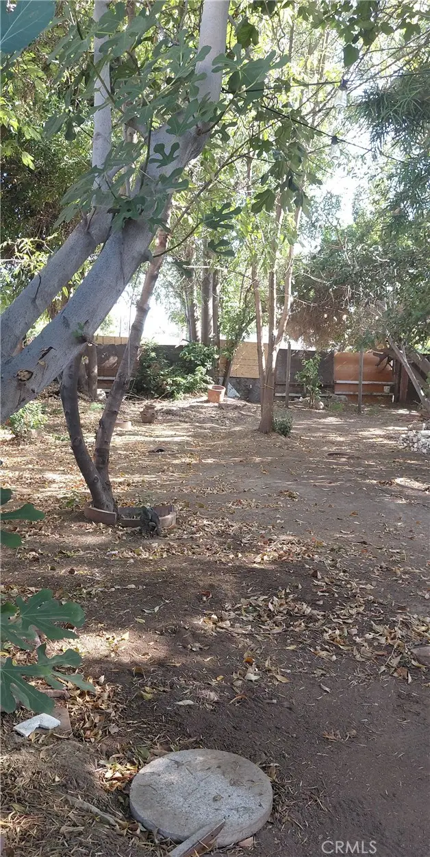 11137 Freer Avenue, Temple City, CA 91780 - #2