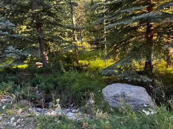 Minaret Road, June Lake, CA 93529