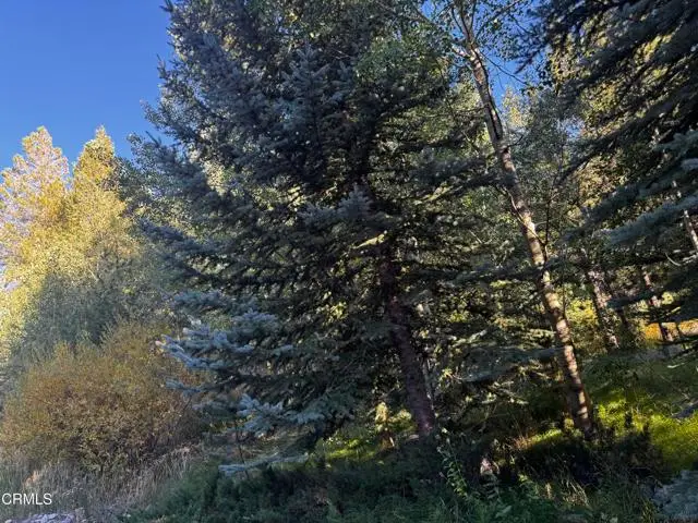 Aspen Grove Lane, June Lake, CA 93529 - #3