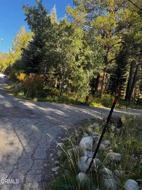 Aspen Grove Lane, June Lake, CA 93529