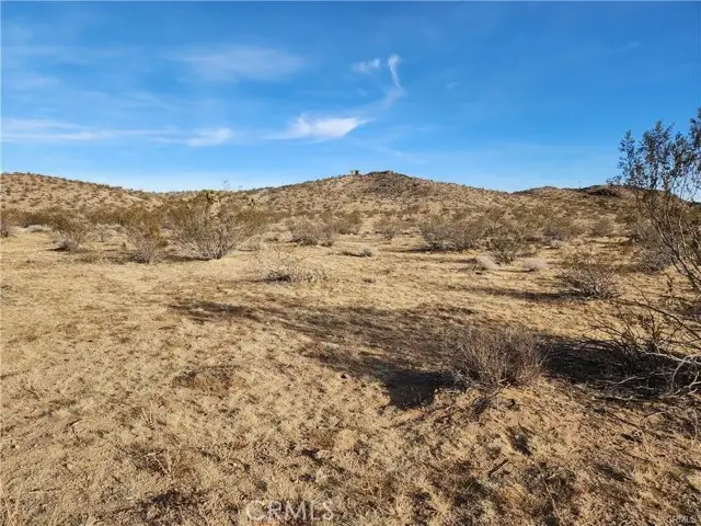 0 Patrick Way, Joshua Tree, CA 92252 - #2