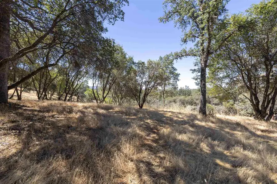 1.66 A Avenida Bonita N, Sonora, CA 95383 - Image #3