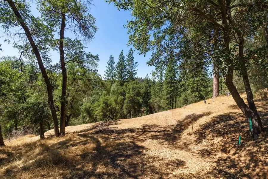 12891 Boitano Rd, Groveland, CA 95321 - Image #2