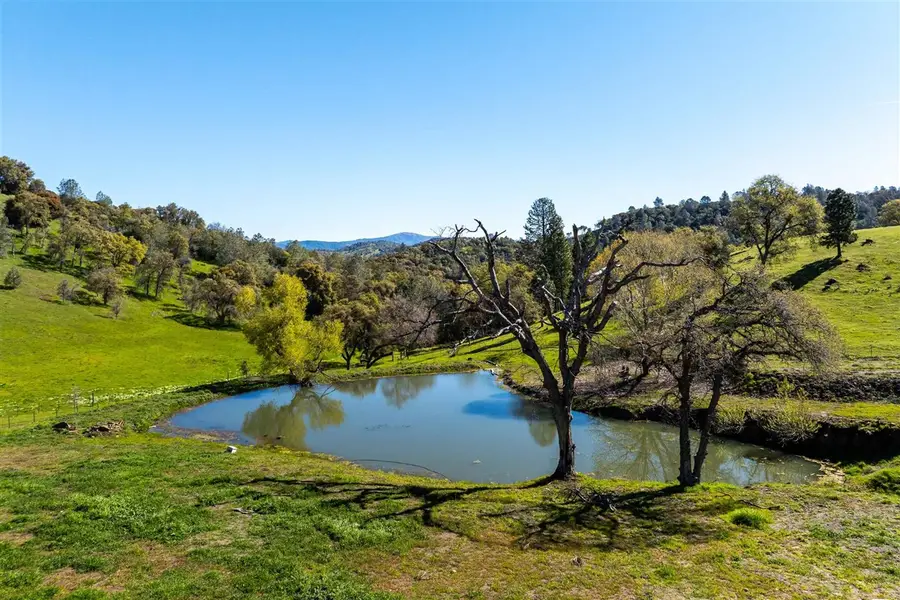 16554 Corcoran Gray Road, Groveland, CA 95321 - #2