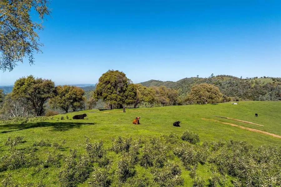 16554 Corcoran Gray Road, Groveland, CA 95321 - #3