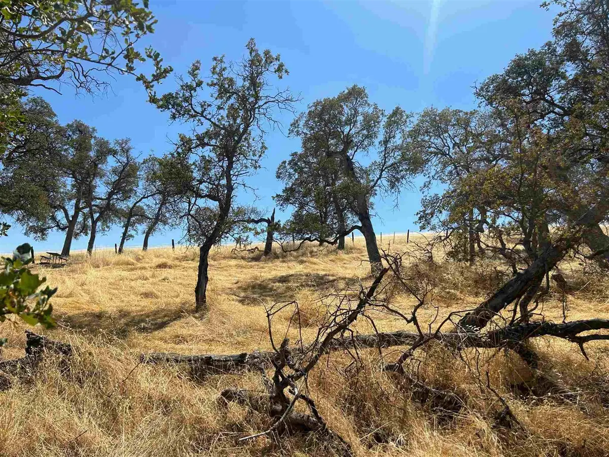 5102 Fong, Copperopolis, CA 95228 - Image #1