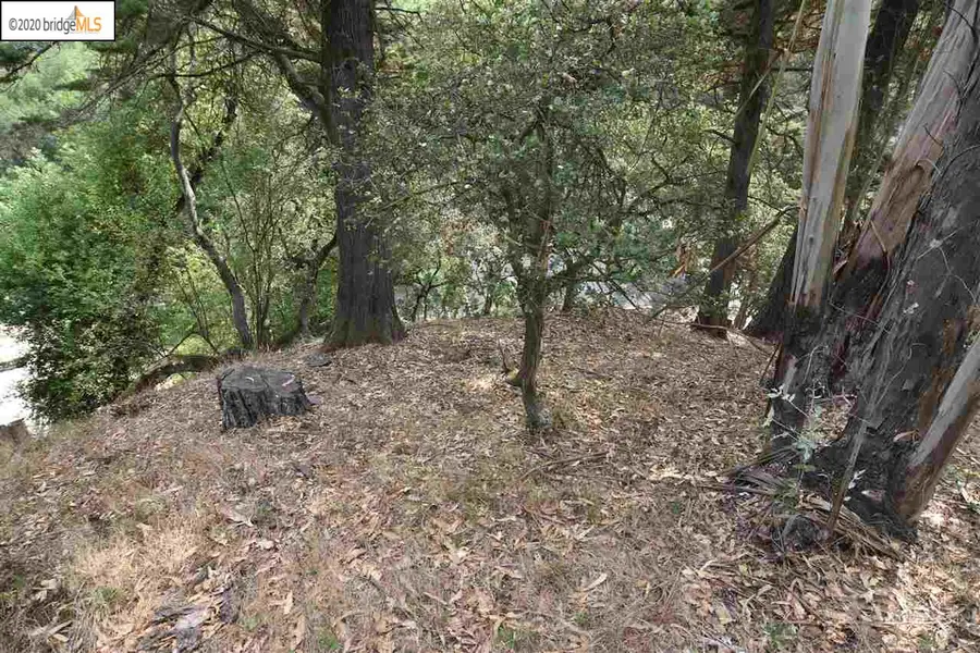 6050 Balboa Dr, Oakland, CA 94611 - #2