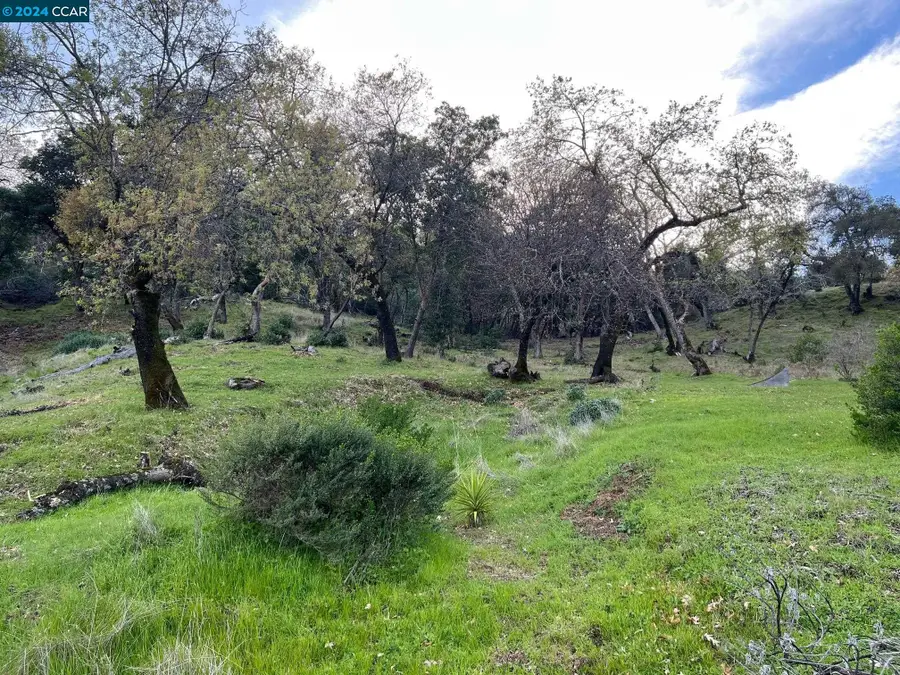 228 Country Club Lane, Napa, CA 94558 - #2