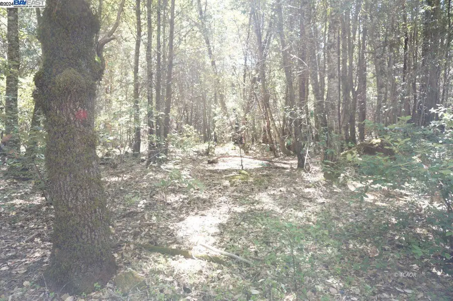 30 Suzy Q Rd, Salyer, CA 95527 - Image #3