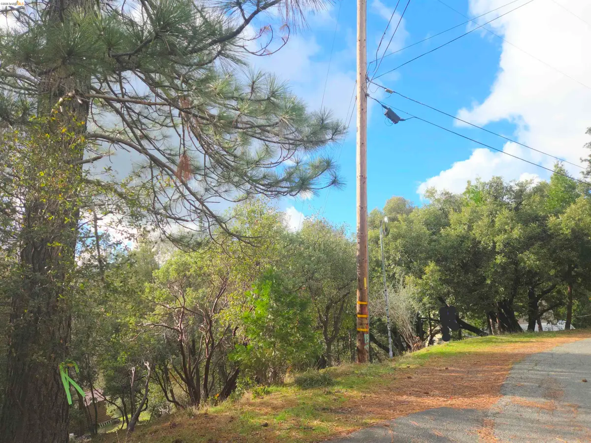 16643 Sallander Drive, Sonora, CA 95370 - #1