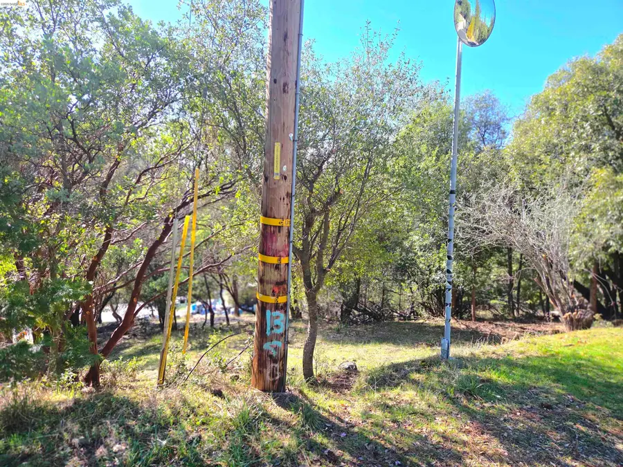 16643 Sallander Drive, Sonora, CA 95370 - #2