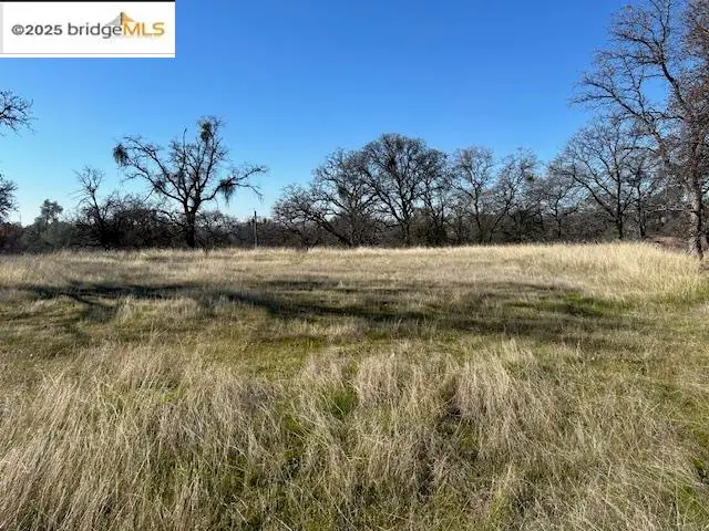 Lot 885 Ladera Way, La Grange, CA 95329 - Image #2