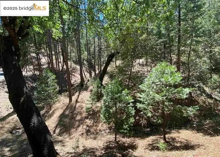 12000 Trapper, Groveland, CA 95321 - Image #1