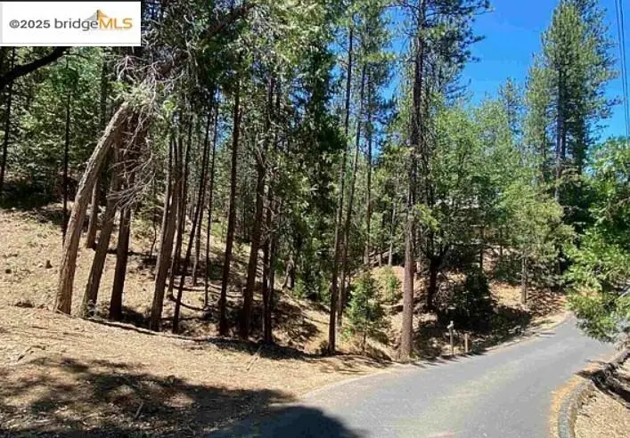 12000 Trapper, Groveland, CA 95321 - Image #2