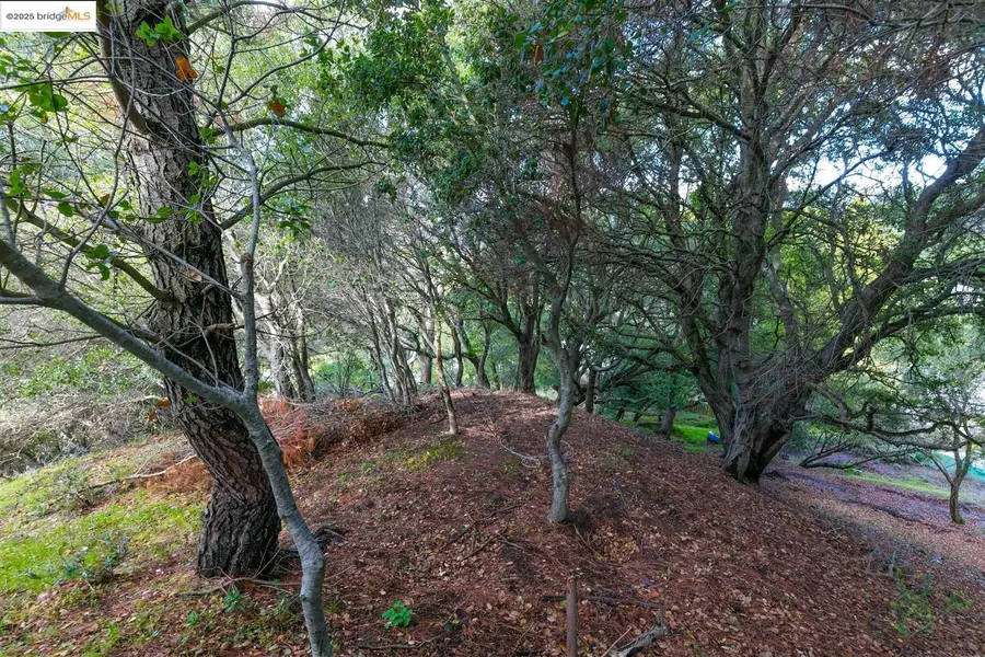 26 Lucille Way, Orinda, CA 94563 - #2