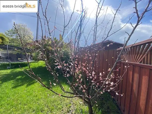 150 Daisy Ct, Vallejo, CA 94589 - Image #3