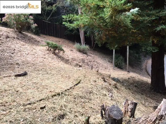 1135 Glencourt Dr., Oakland, CA 94611 - Image #3