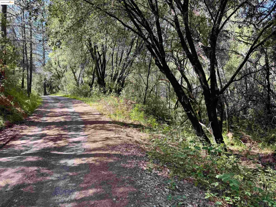 21893 Sawmill Flat Rd, Sonora, CA 95370 - Image #3