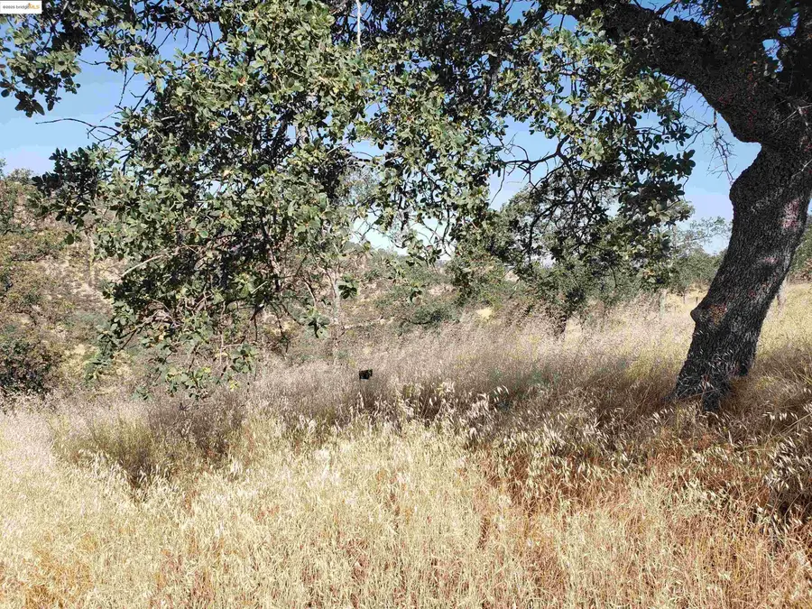 1400 Medina Court, La Grange, CA 95329 - Image #2