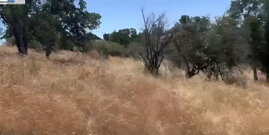 Crystal Springs Way, Coarsegold, CA 93614 - #2