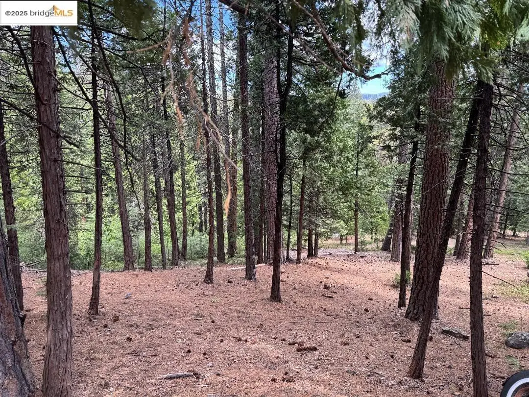 24871 Prospector Dr, Mi Wuk Village, CA 95346 - Image #1