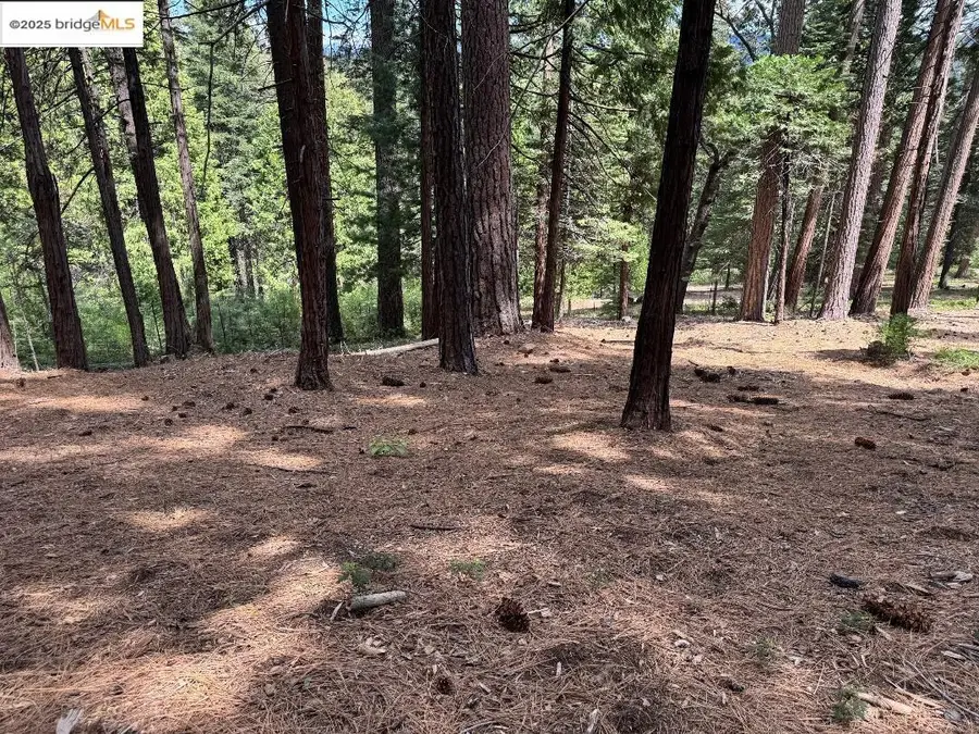 24871 Prospector Dr, Mi Wuk Village, CA 95346 - Image #2