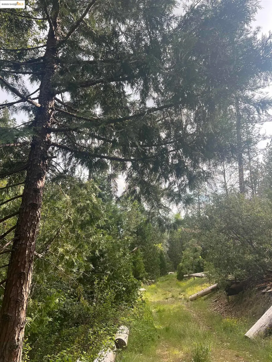 00 Italian Bar Rd, Twain Harte, CA 95383 - Image #2