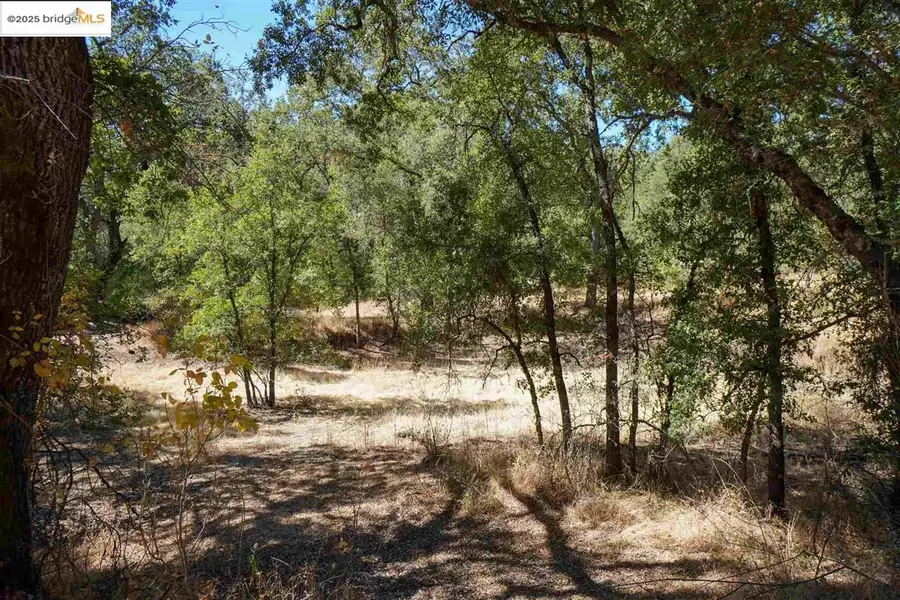 11480 Racetrack, Sonora, CA 95370 - Image #3