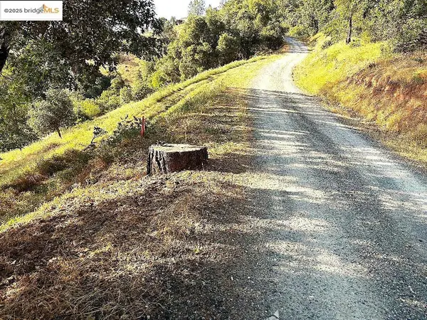 Parcel Blue Oak Gulch Rd #27/26, Twain Harte, CA 95383