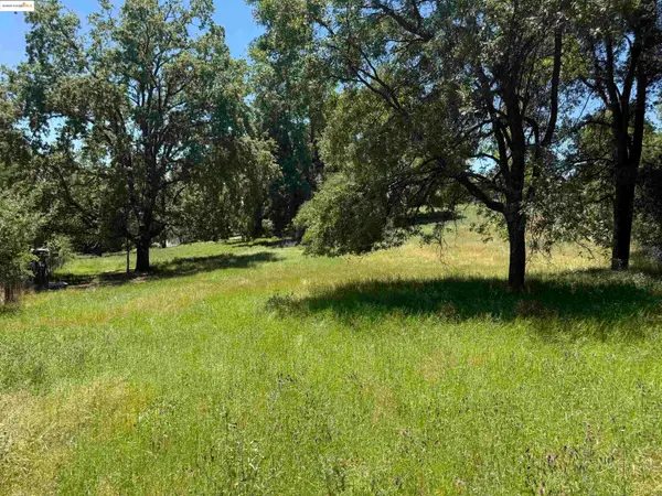 0000 Meadow Lane, Sonora, CA 95370