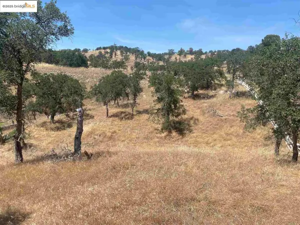 9787 Alamo Drive, La Grange, CA 95329