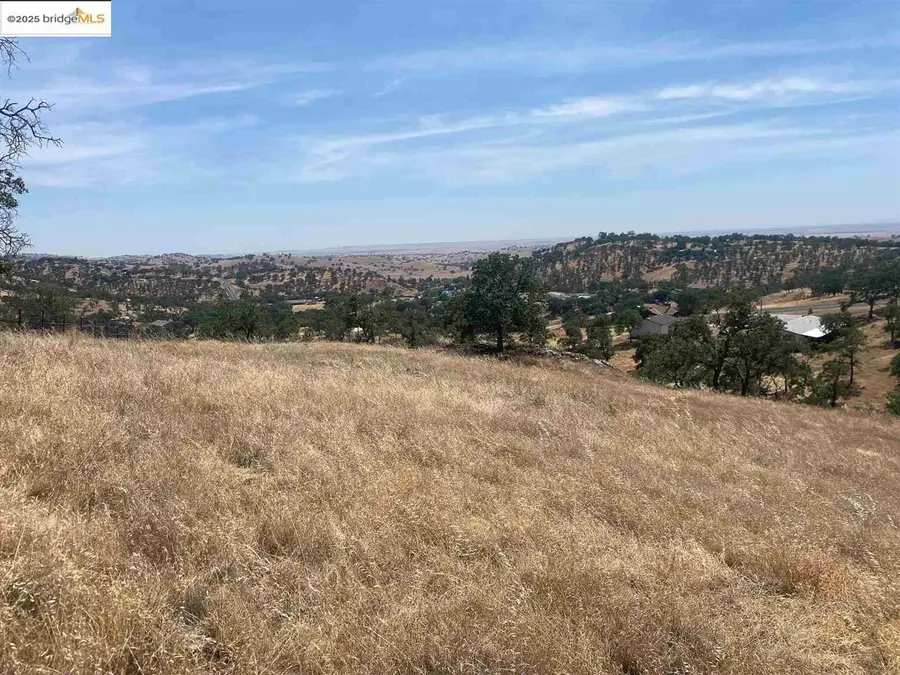 9787 Alamo Drive, La Grange, CA 95329 - Image #3