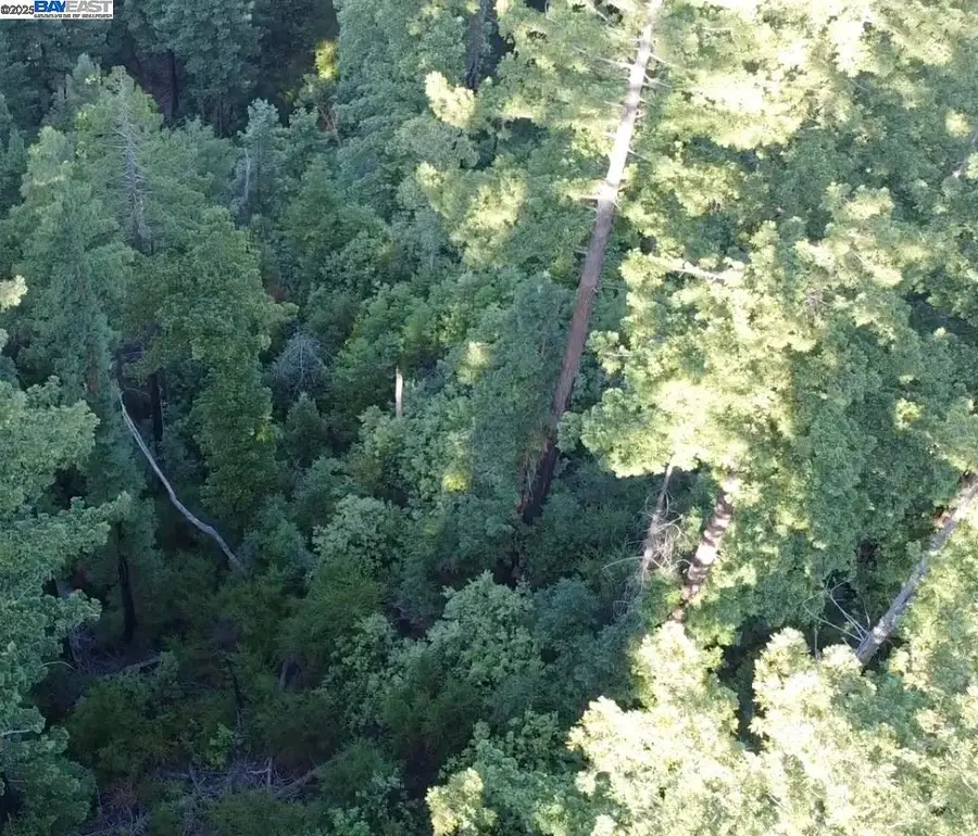 Address Withheld By Seller, Boulder Creek, CA 95006 - #3