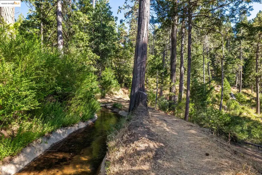 22693 Tamarack Dr, Twain Harte, CA 95383 - Image #2