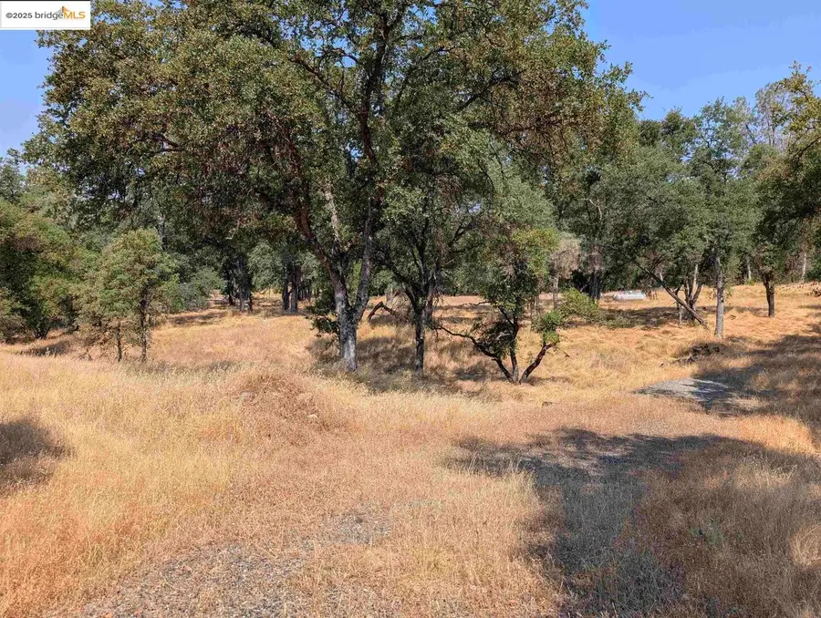 18340 Henry D Ct, Sonora, CA 95370 - Image #3