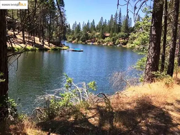 20158 Pine Mountain, Groveland, CA 95321