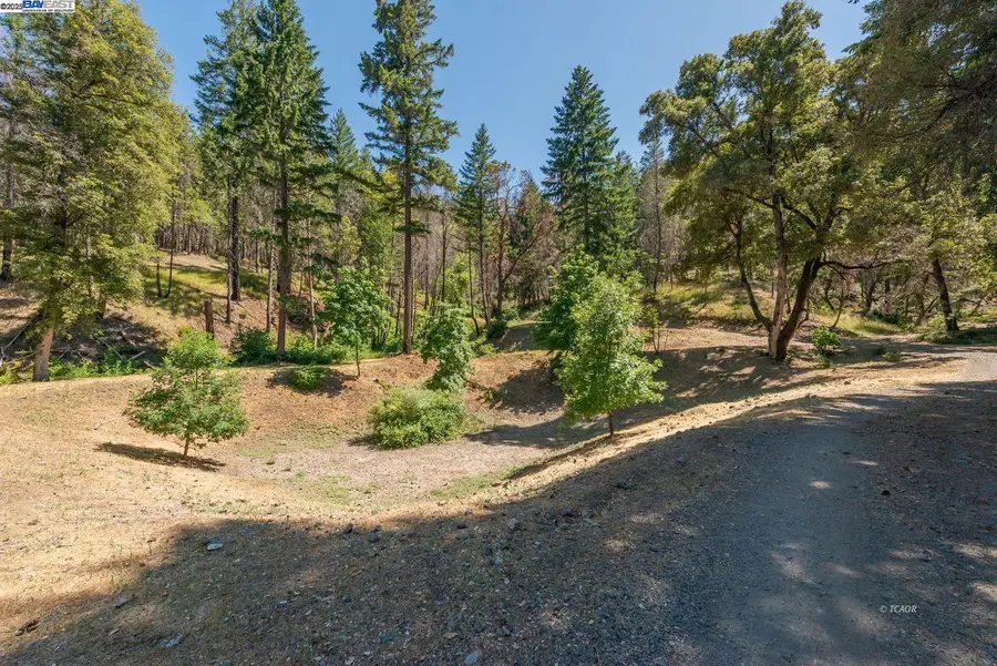 1004 Friedrich Rd, Burnt Ranch, CA 95527 - Image #3