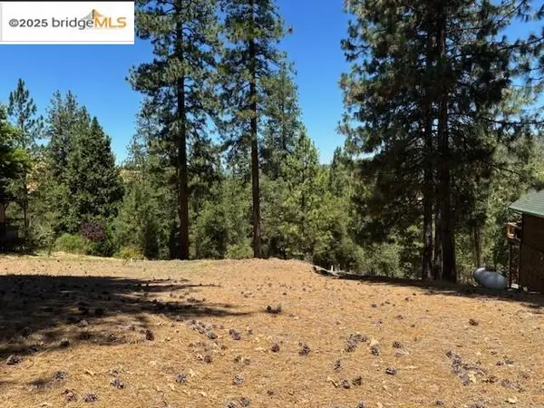 19364 Ferretti Rd, Groveland, CA 95321