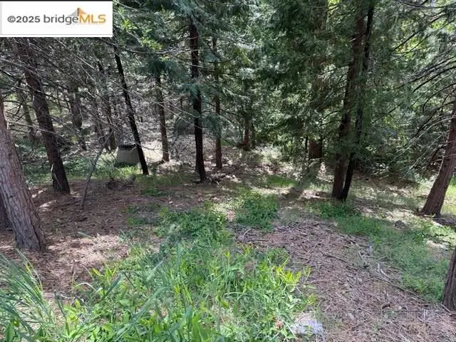 0000 Cedar Pines Ave, Twain Harte, CA 95383 - Image #3