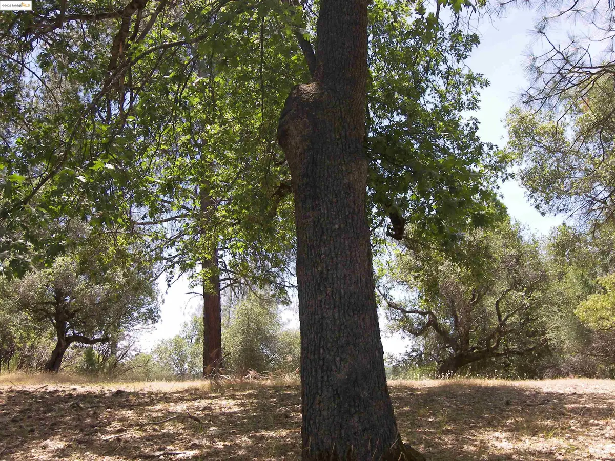 Address Withheld By Seller, Groveland, CA 95321 - #1