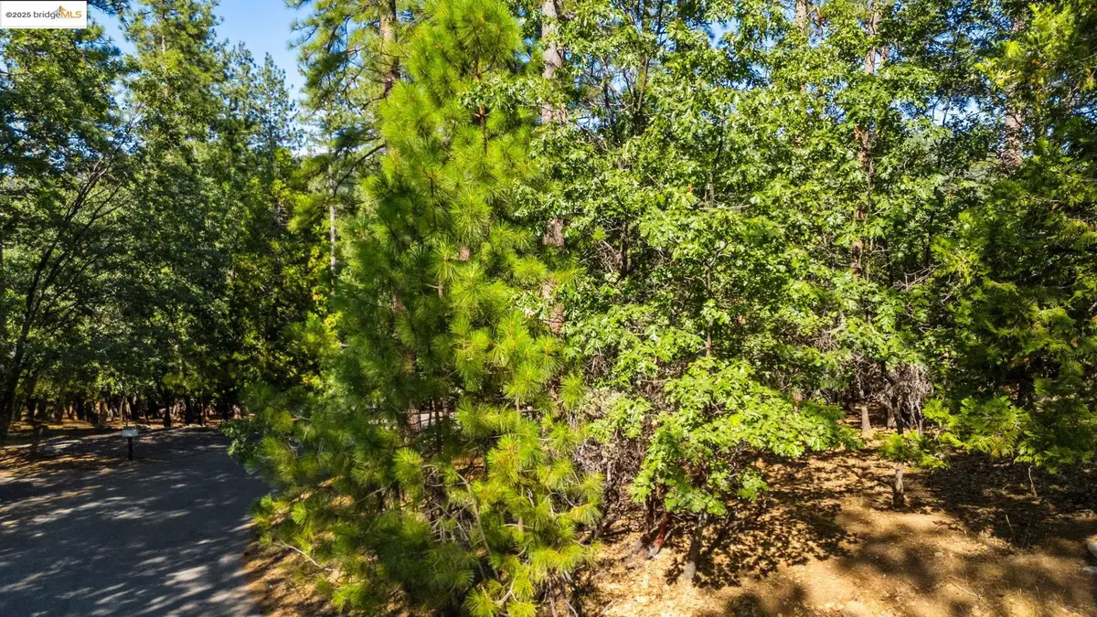 23983 Pack Trail Rd, Sonora, CA 95370 - Image #1