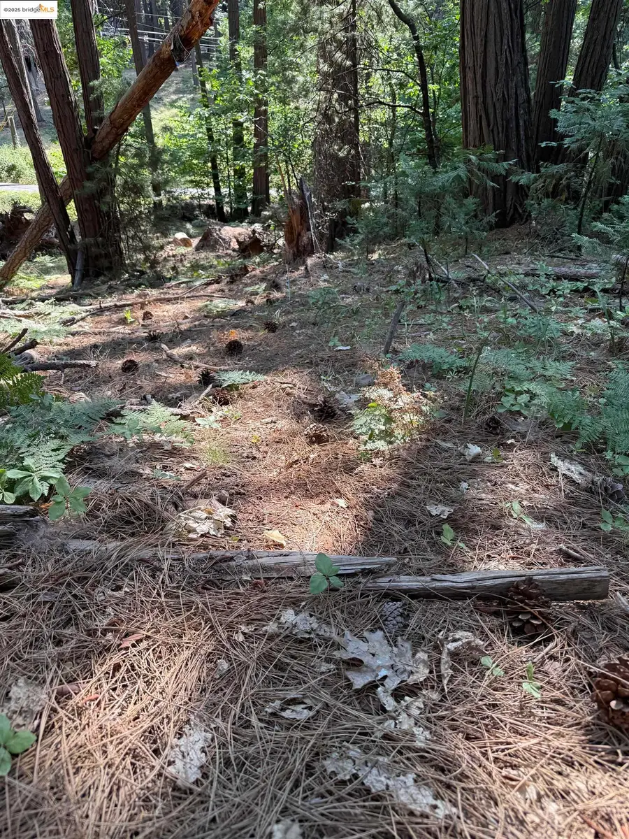 24512 Keltz Mine Rd, Sonora, CA 95370 - Image #2